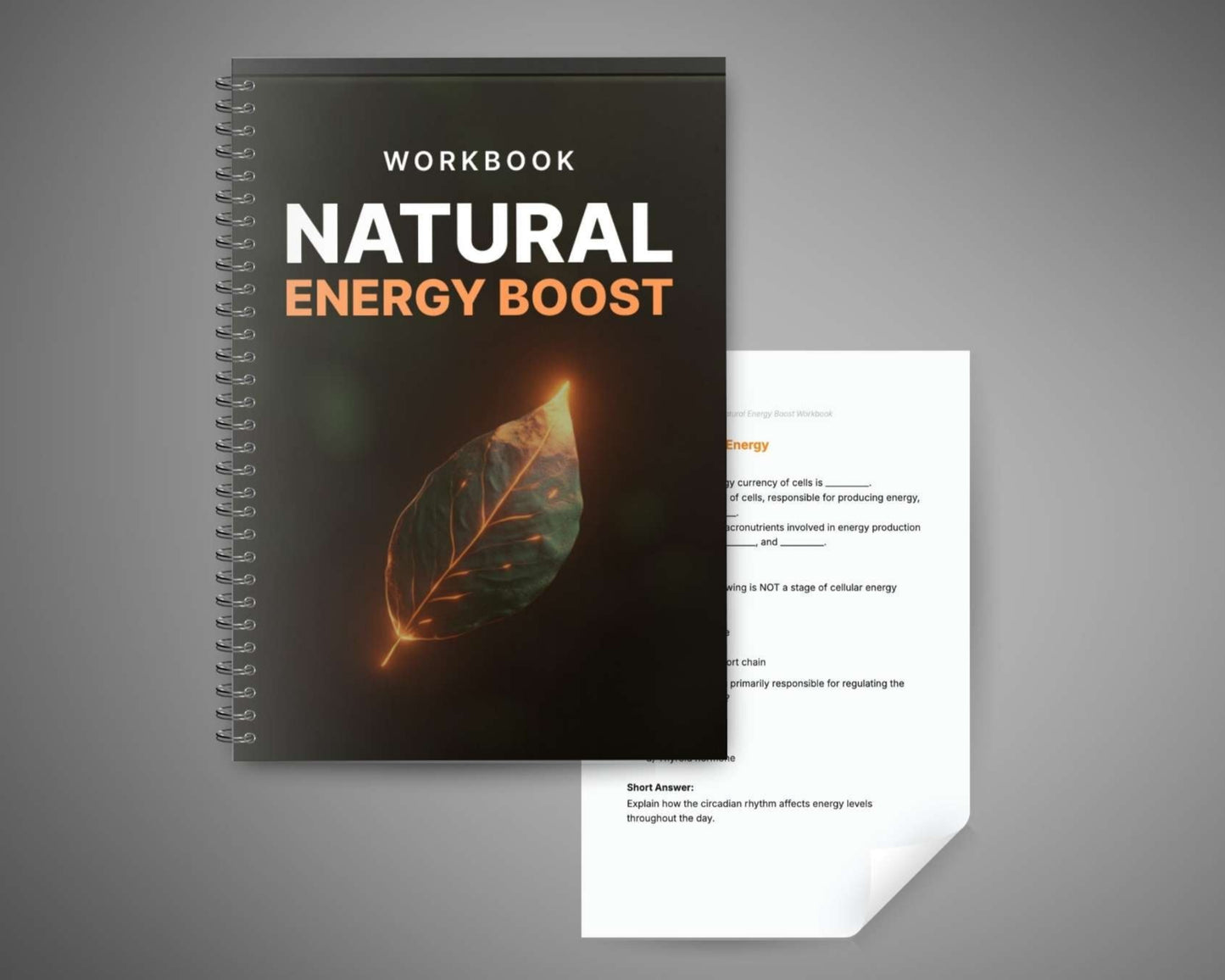 Natural Energy Boost - Workbook