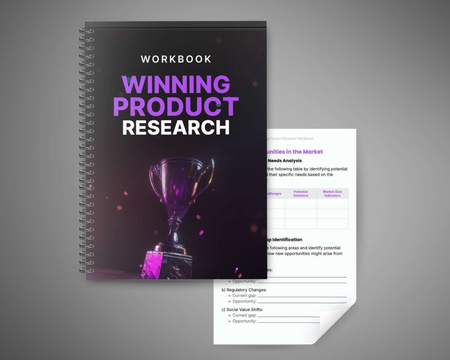 Winning eCommerce Product Research Workbook