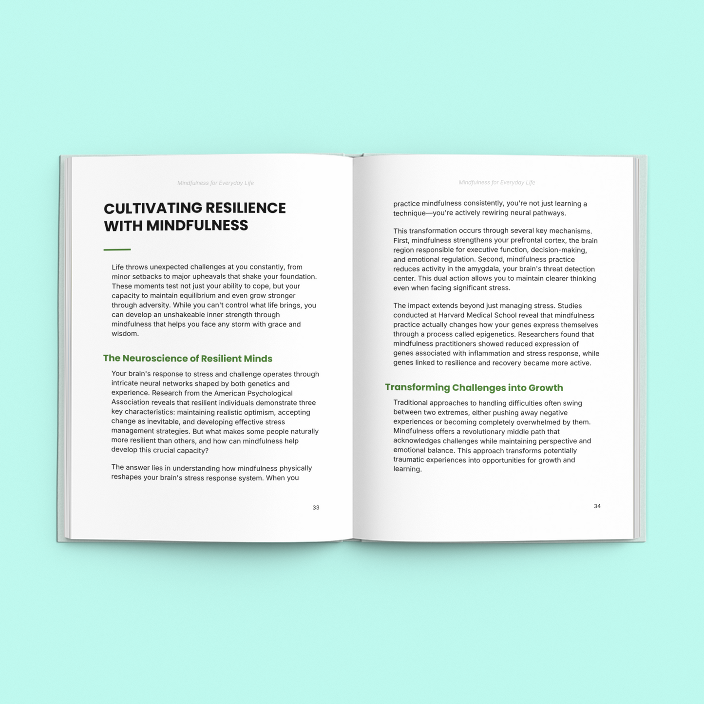 Open Simplicity E-Book on daily mindfulness practice with chapters on resilience and transformation