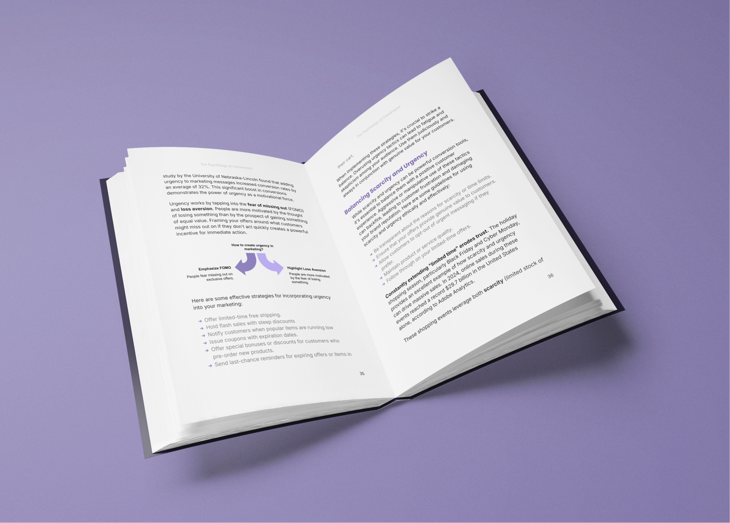 Simplicity increase website conversions guide E-Book open to informative pages on boosting online sales