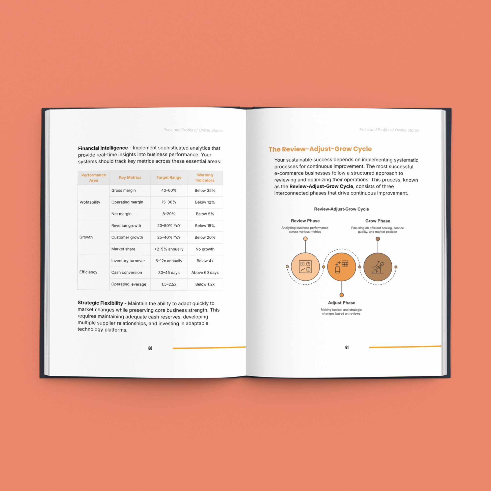 Simplicity E-Book pages highlighting strategies to maximize online store profits with analytics and adjustments