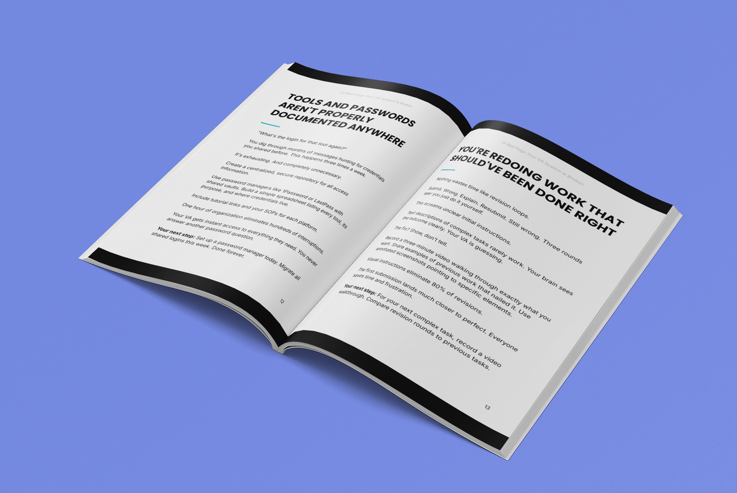 13 Red Flags Your VA System Is Broken