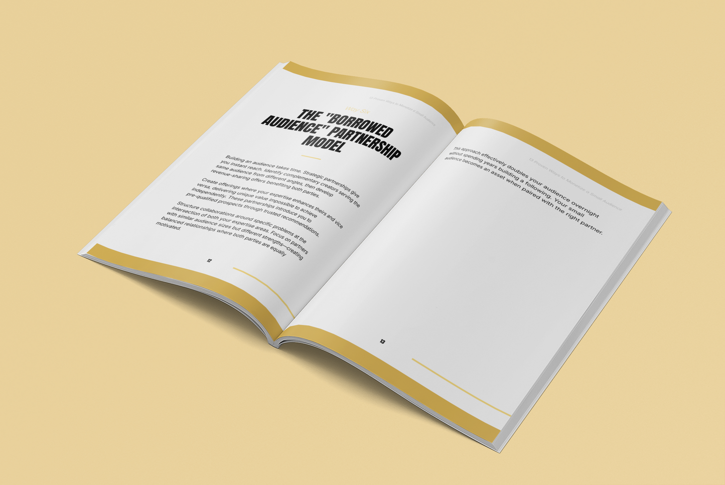 13 Proven Ways to Monetize a Small Audience