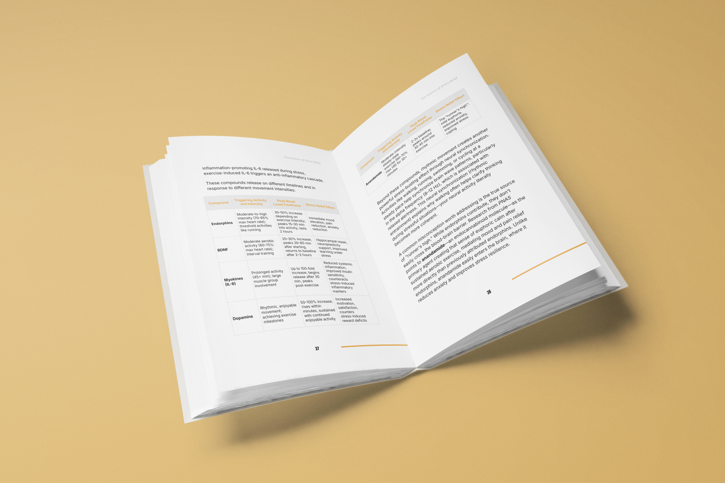 Stress Relief Guide - Calm Your Mind Naturally