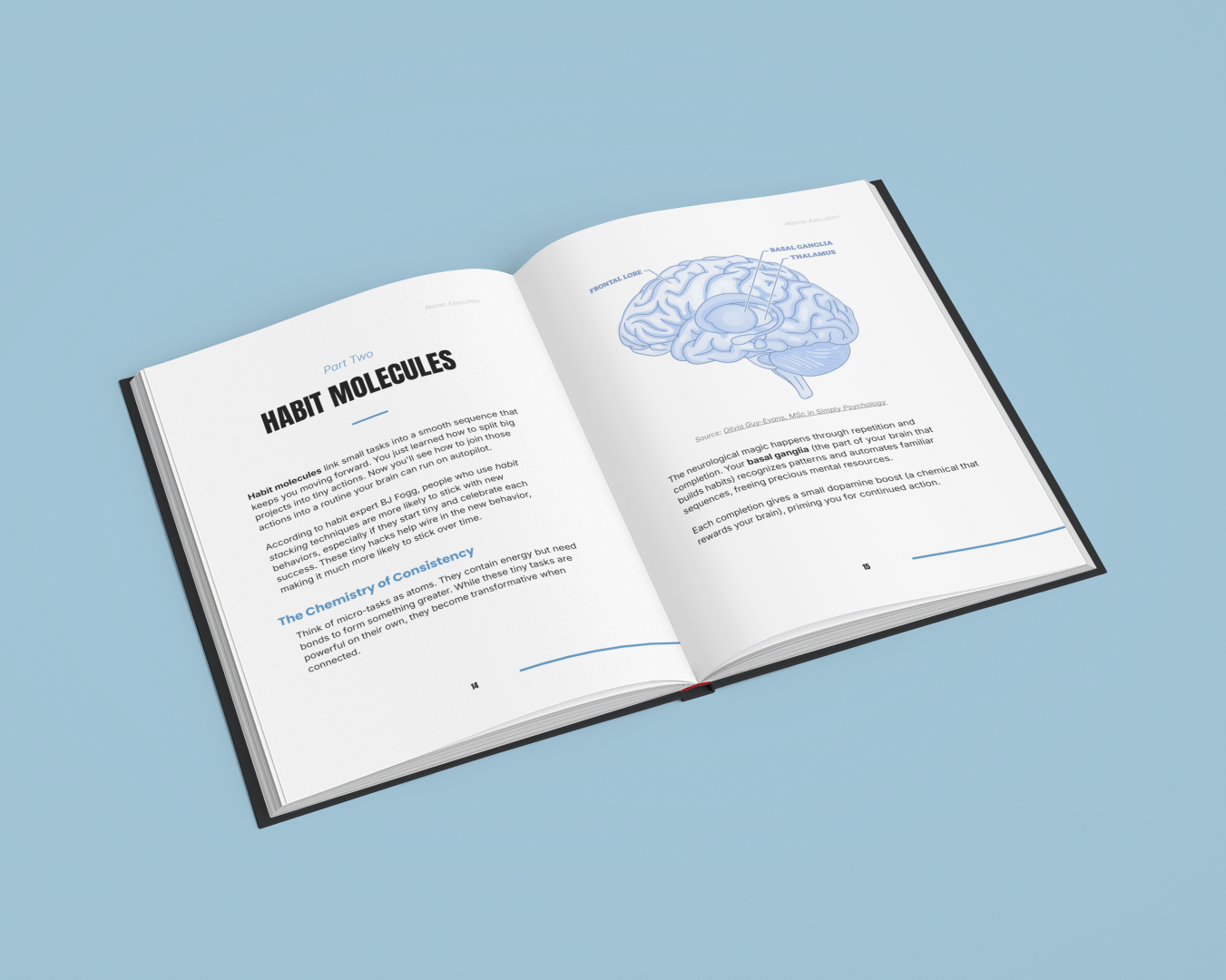 Atomic Execution for Focus and Consistent Results