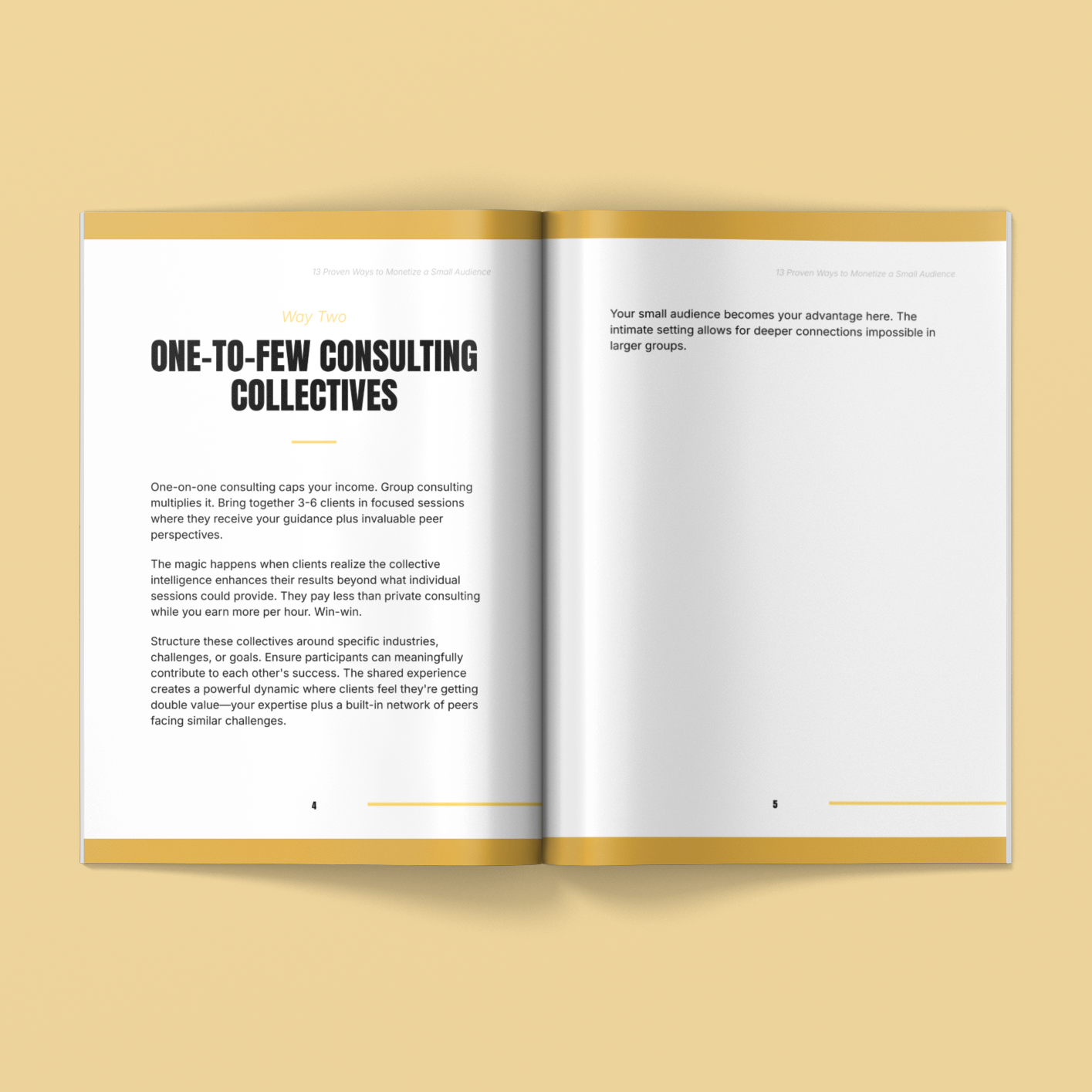 13 Proven Ways to Monetize a Small Audience