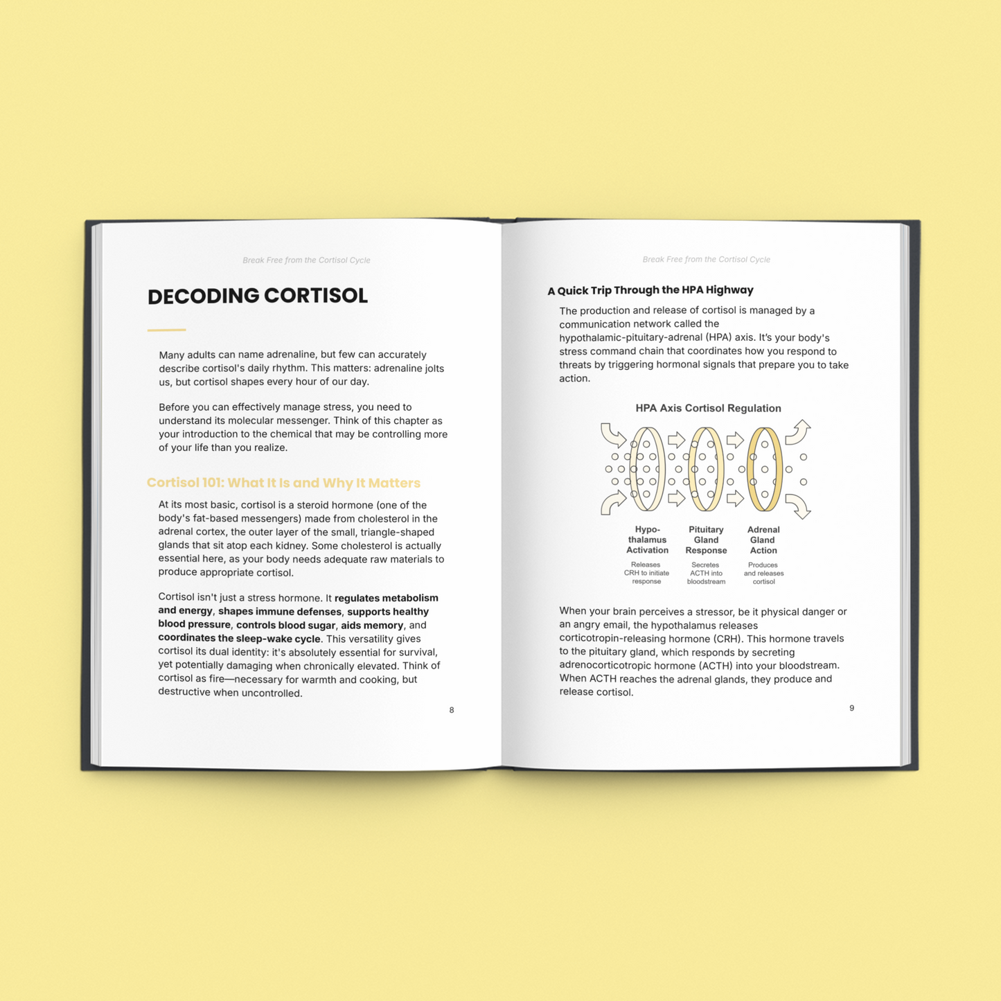 Break Free from the Cortisol Cycle Naturally