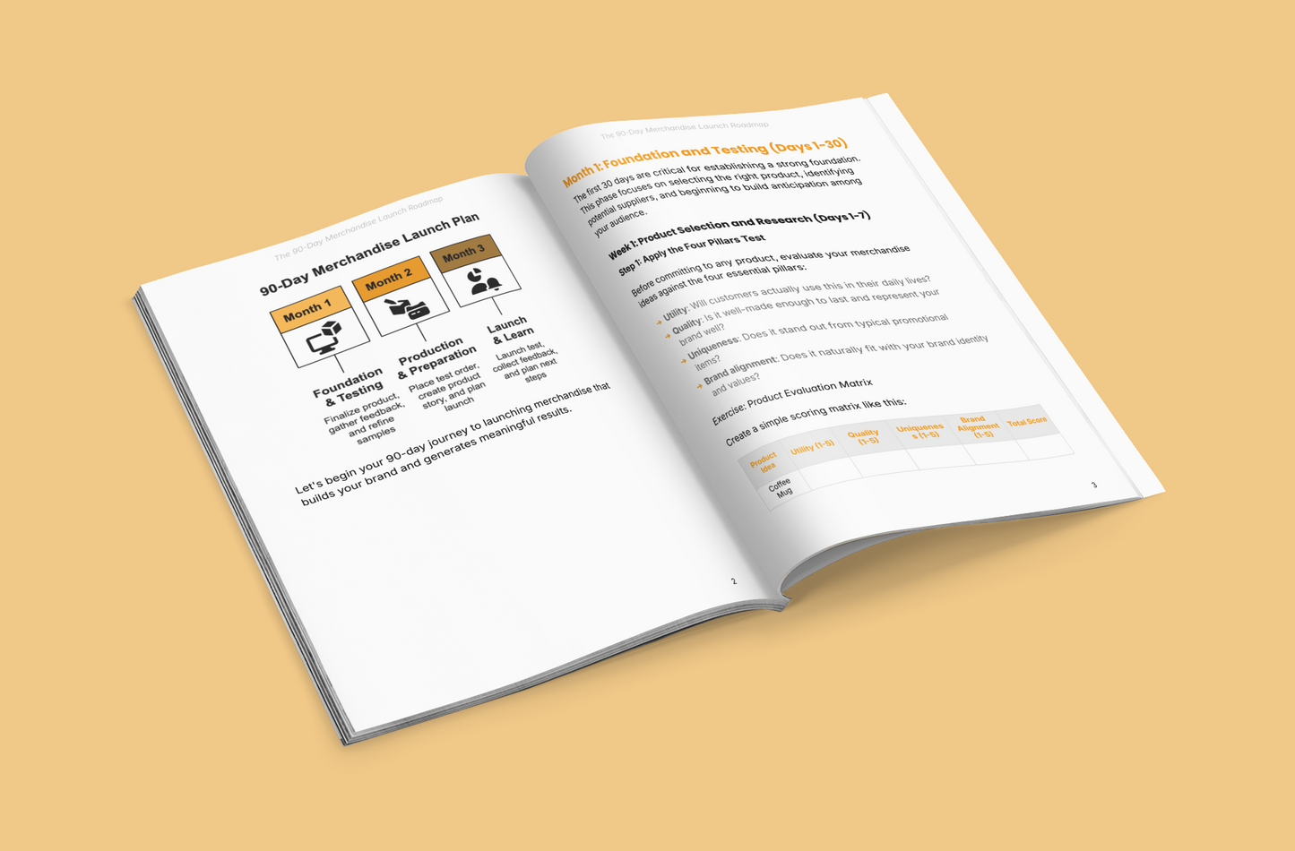 The 90-Day Merchandise Launch Plan