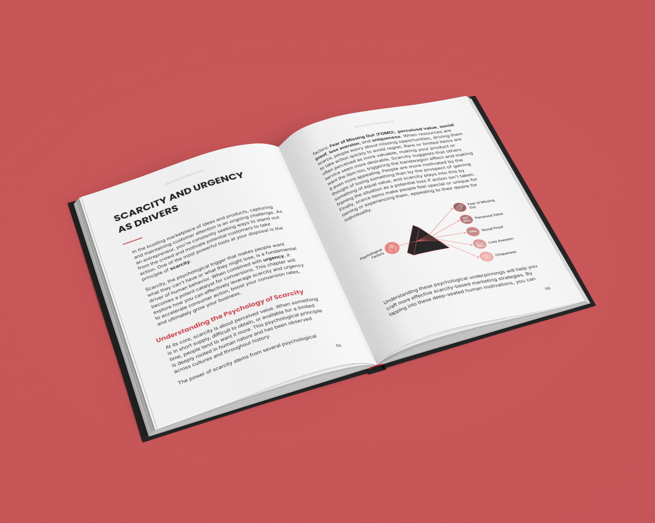 Simplicity E-Book on Predictable Decisions in Marketing with Insights on Scarcity and Urgency Drivers