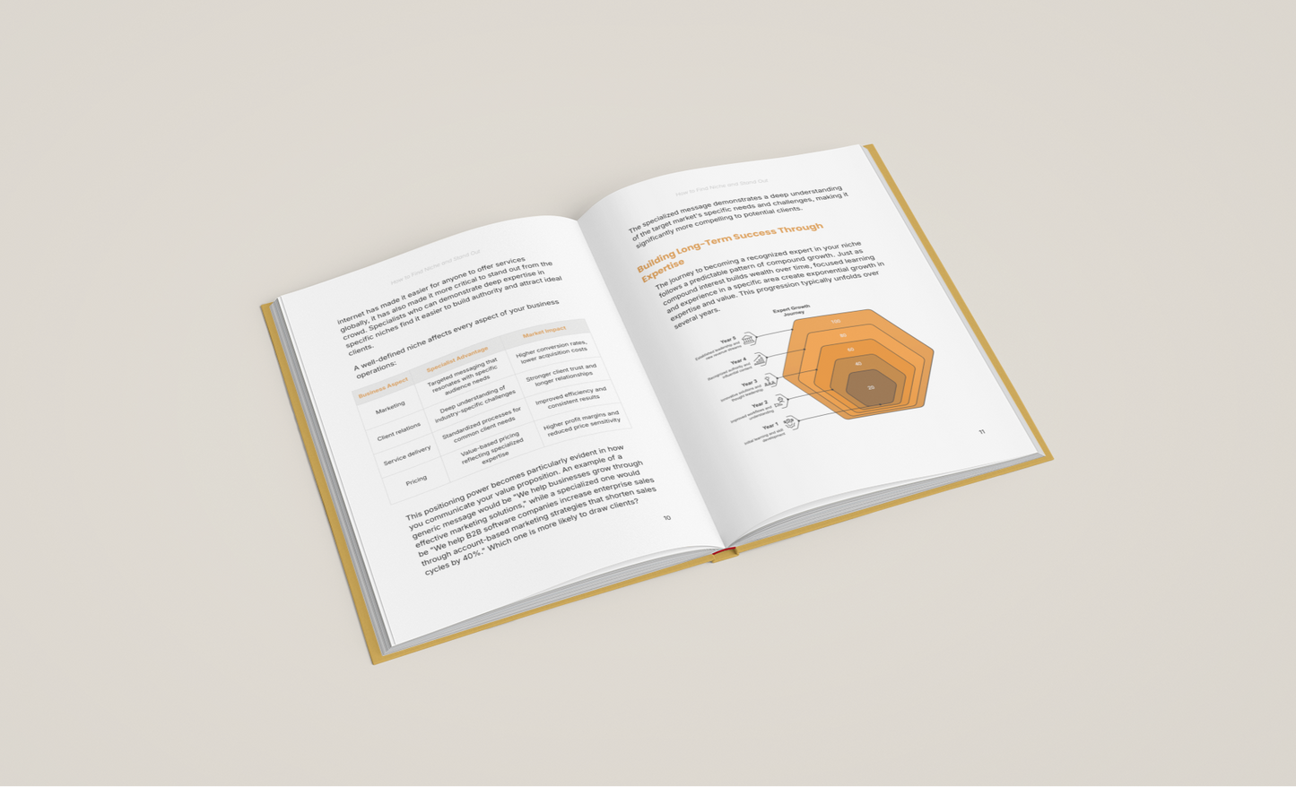Simplicity E-Book on profitable niche strategies with open pages showcasing key concepts and diagrams