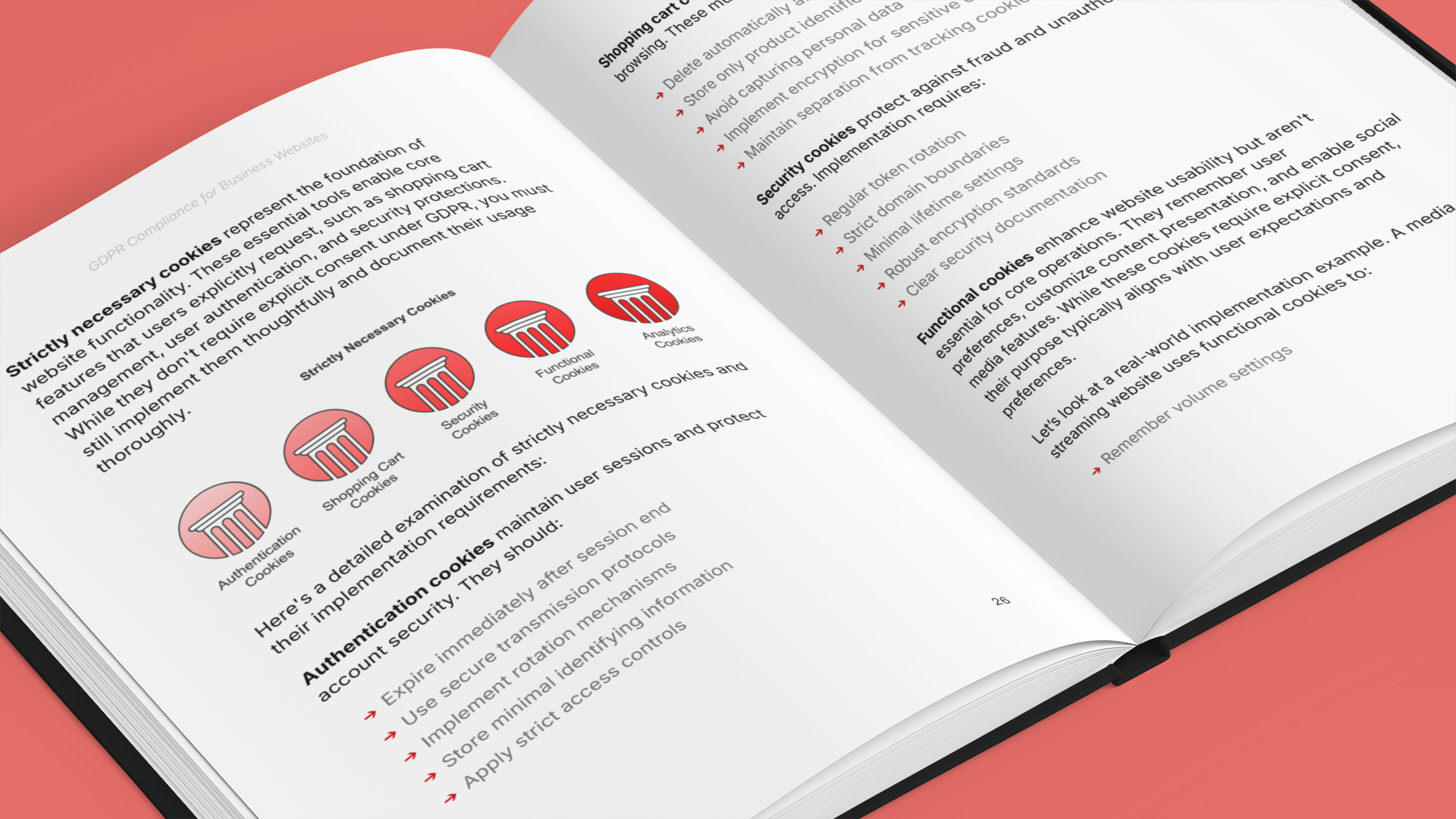 Simplicity E-Book on business website GDPR with detailed explanations and visuals