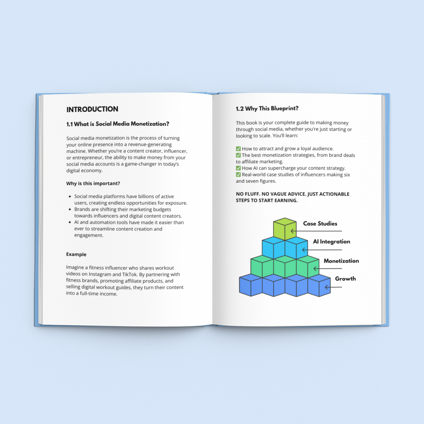 E-Book titled 'Social Media Monetization Guide' with practical tips for earning online